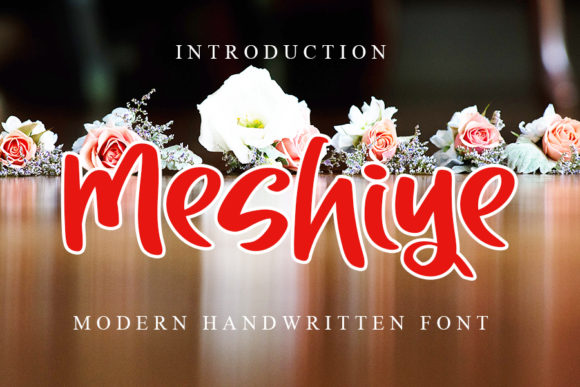 Meshiye: The Playful Font That Boosts Campaign Visibility
