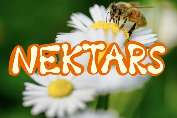 Nektars Display Font Review